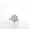 Picture of The Classy Flower Diamond Ring